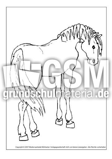 Pferd-4.pdf